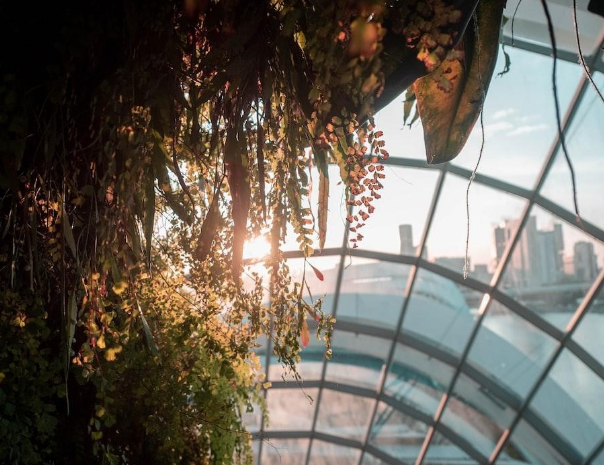 How Commercial Rooflights Can Improve Natural Light and Energy Efficiency